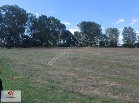 Saray Merkeze Yakın İmara 300m