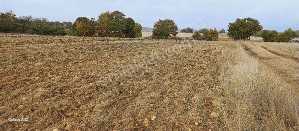 Vize Sergende Yatırıma Uygun Arazi
