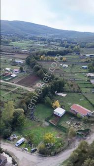 C21 Cius; Bursa/gemlik Haydariye Köyünde 1000 M2 Satılık Tarla