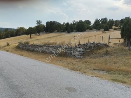 Merkez Koçak Köyünde Tarla