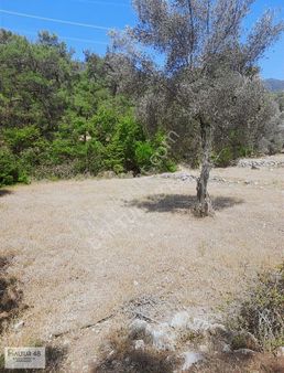 Yakacık Mh 937 M2 Tek Tapu Arazi