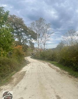 Yatırıma Uygun Geniş Arazi Portföyü – Meyve Bahçesi, Tavuk Çiftliği, Bungalov İçin Mükemmel Konum!