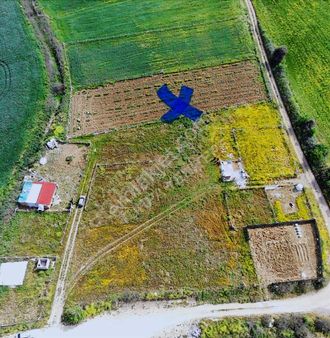 Tekelli De 1980 M2 Caddeye İzbana Yakın Tam Yatırımlık Tarla