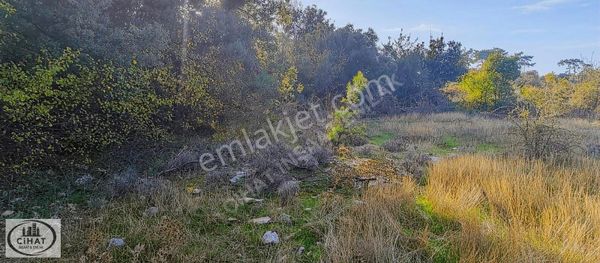 Cihat İnşaat Emlak Tan Kıran Satılık Bahçe