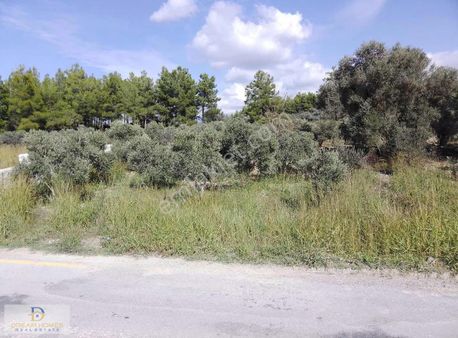 Seydikemer Korubükü Mahallesinde Satılık Müstakil Tarla