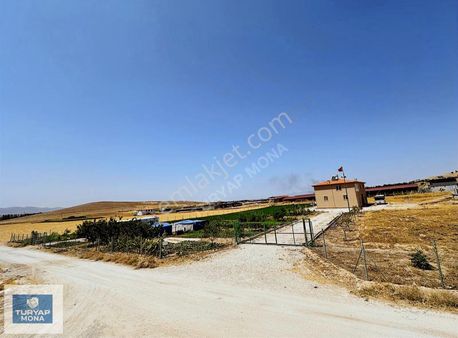 Ruhsatlı Ve Projeli 21.478 M2 Kurulu Çiftlik/ahır Ve 3+1 Evi