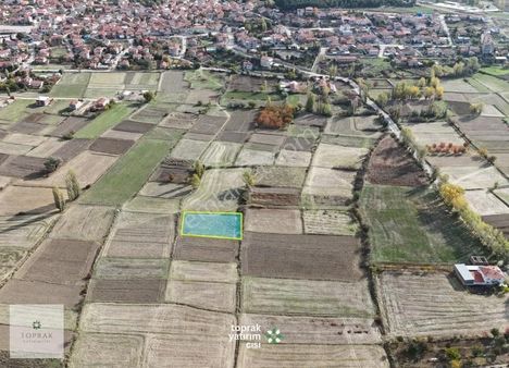 Sinanpaşa Tınaztepede 1.538 M² Yatırıma Uygun Yol Cepheli Tarla