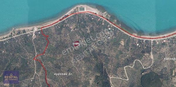 İznik Göllüce De Göle Yürüme Mesafesinde Göl Manzaralı Arazi