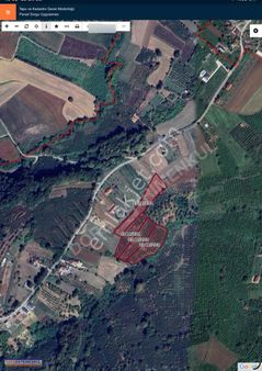 Serdivan Meşelide Manzaralı 15588 M2 Fındık Bahçesi Yatırımlık