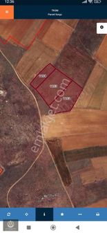 Altınyıldız Emlaktan Çıkrıkta 17000 M2 Tarla