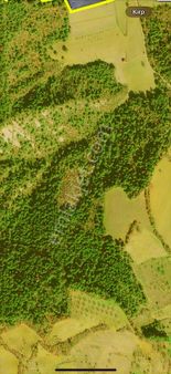 Sakarya Geyve Hacıosmanlar'da 3.499.72 M2 Lik Arazi