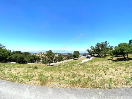 🟥🟥aktif'ten Burhaniye Kuyumcu'da Deniz Doğa Manzaralı 1868m2 Satılık Bağ Bahçe🟥🟥