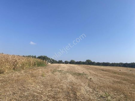 Bursa Karacabey Sultaniye Köye 300 Metre 3 Dönüm Tarla