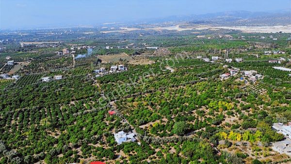 Mersin Erdemli Tömük'te Satılık 7.500m2 Limon Bahçesi