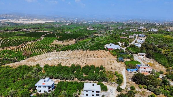 Mersin Erdemli Arpaçbahşiş'te Satılık 6.000m2 Limon Bahçesi