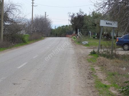 Ballıca Mahallesi Köy İçi Yerleşime Yakın 512 M2 Tarla