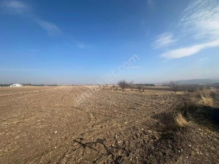 Tanrıverdi'den Satılık Karalar'da 5180 Mt Yolu Olan Tarla