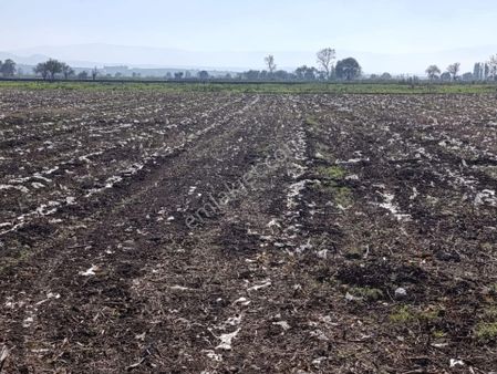 Bursa Mustafakemalpaşa Yeşilova Mah. Kaçırılmayacak Fırsatta Satılık Tarla