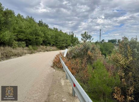 Mudanya Akköy ,ana Asfalta Cepheli 5700 M2 Yatırımlık Arazi