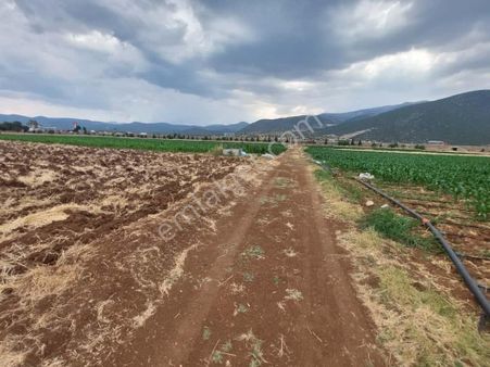 Acıpayam Yassıhöyükde 1554m2 Yolu Suyu Bulunan Hobi Bahçesi