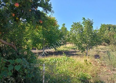 Balıkesir Gönen Hasanbey Köyü Satılık Arsa