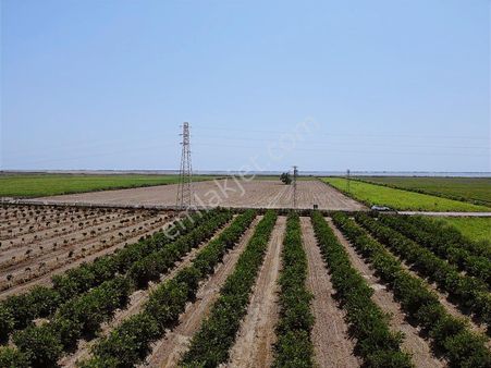 Denize Çok Yakın Yazlık Cennet Bahçesinde 8.000 M2 Satılık Arsa