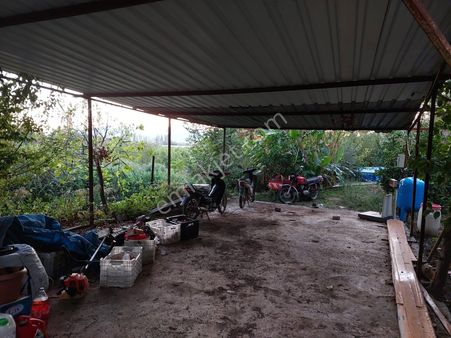 Ortaca Çaylı Da 350 M2 Müstakil Tiny House Uygun Arazi Satılık