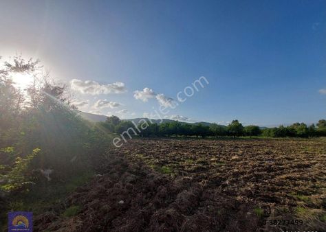 Muğla Ortaca, Dalaklı 2.000 M2, 400 M2 İnşaat Hakkı Olan Satılık Konut İmarlı Arsa