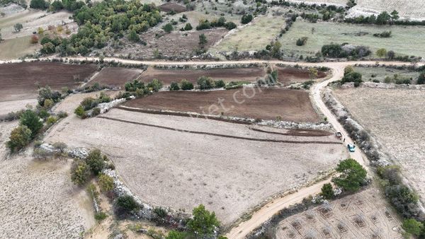 Bakan Gm'den Uzunpınar Mah.de Satılık Tarla