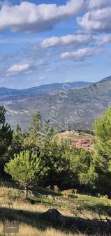 Köy İmarına Yakın /yatırımlık