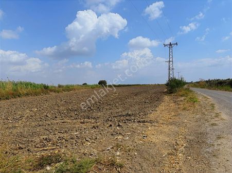 New Form'dan Tarsus Hacıbozan'da 9400 M2 Satılık Tarla