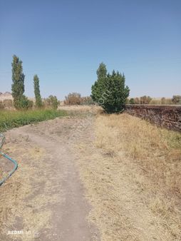 Aşağı Eğercide Satılık Tarla