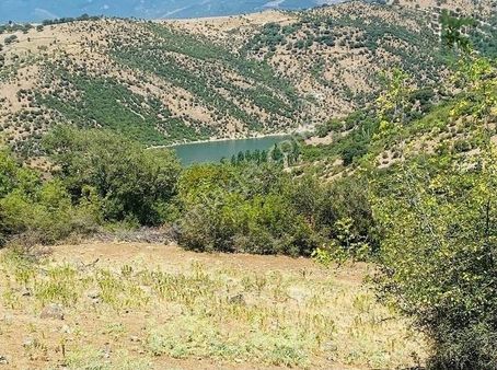 Bergama Durmuşlar Da Satılık Tarla