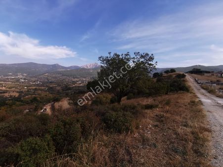 İzmir Kemalpaşa'da Satılık Tarla