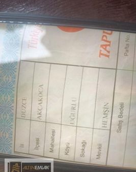 Düzce Kocaali Uğurlu Da Satılık Fındık Bahcesi