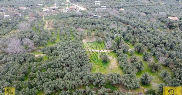 Erdek Yukarıyapıcı Düzler Mevkiinde Satılık 718m² Tarla