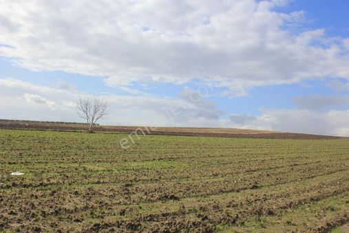 Bursa Karacabey Tophisar Yatırımlık 2650m2 Tarla