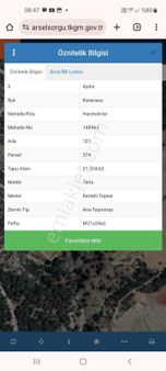 Satılık Zeytinlik – Aydın Karacasu