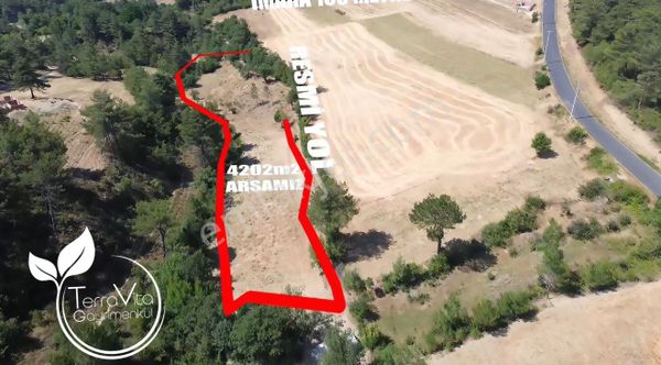 🏡 Sakarya / Geyve / Çamlık Mahallesi – Satılık 4.202 M² Yatırımlık Arsa