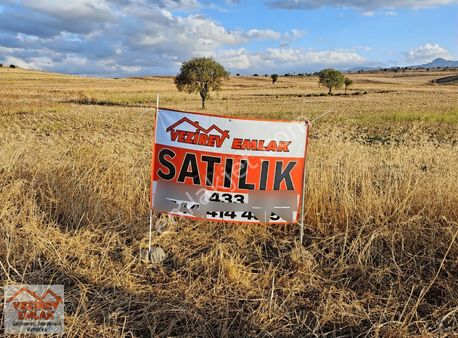 Acil Satılık Anayola Cephe 8085 M2 İncesuda Tarla