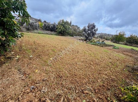 Muğla Menteşe Denizova'sında Satılık Köyiçi İmarlı Arsa