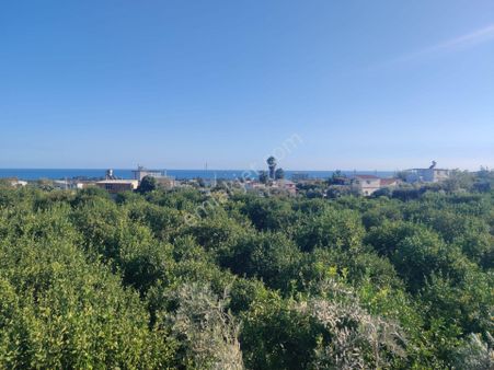 Mersin Erdemli Kargıcak 4.869 M2 Arsa Ve İçinde 2+1 Müstakil Daire