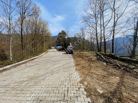 Başiskele Aksığın Mah. 2000 M2 Kadastro Yollu Satılık Arazi