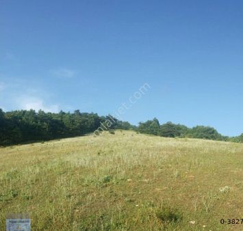 Bursa/kestel-ümitalan Mah.de Satılık Müstakil Tapulu ( 5.170 ) M2 Fırsat Arazi.