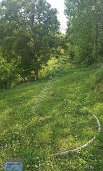 Bursa/osmangazi-küçükdeliler Mah.de Satılık Müstakil Tapulu ( 4.660 ) M2 Yolu Suyu Olan Meyve Bahçes