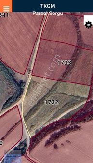 Bursa/karacabey-canbaz Mah.de (satılık) (9.250) M2 Müstakil Tapulu Kadastro Yoluna Cepheli Arazi.