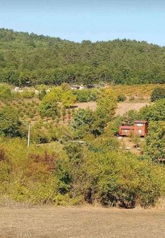 Bursa/yıldırım-ümitalan Köyünde ( 5.o34 M2 ) Müstakil Tapulu Tarla.