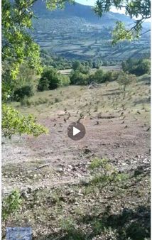 Bursa/keles-kocakovacık Köyünde Satılık (3) Adet Toplam (10.979)m2 Müstakil Tapulu Tarlalar.