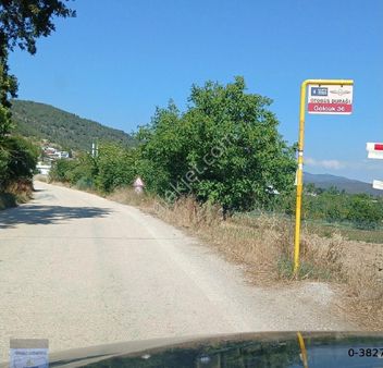 Bursa/kestel-gölcük Mah.de Satılık (1.986)m2. İmar Dibi Anayola Cephe Meyve Bahçesi.