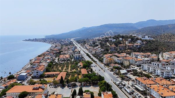 Kerim'den Küçükkuyu Yeşilyurt İmar Sınırında Satılık Zeytinlik